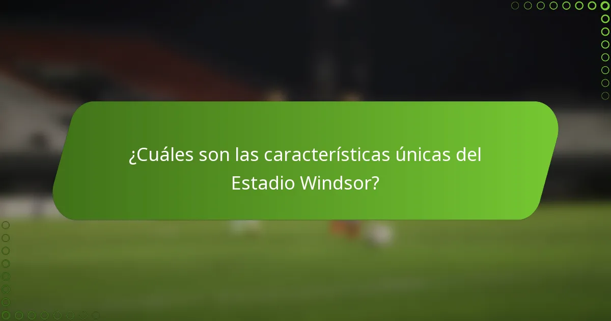 ¿Cuáles son las características únicas del Estadio Windsor?