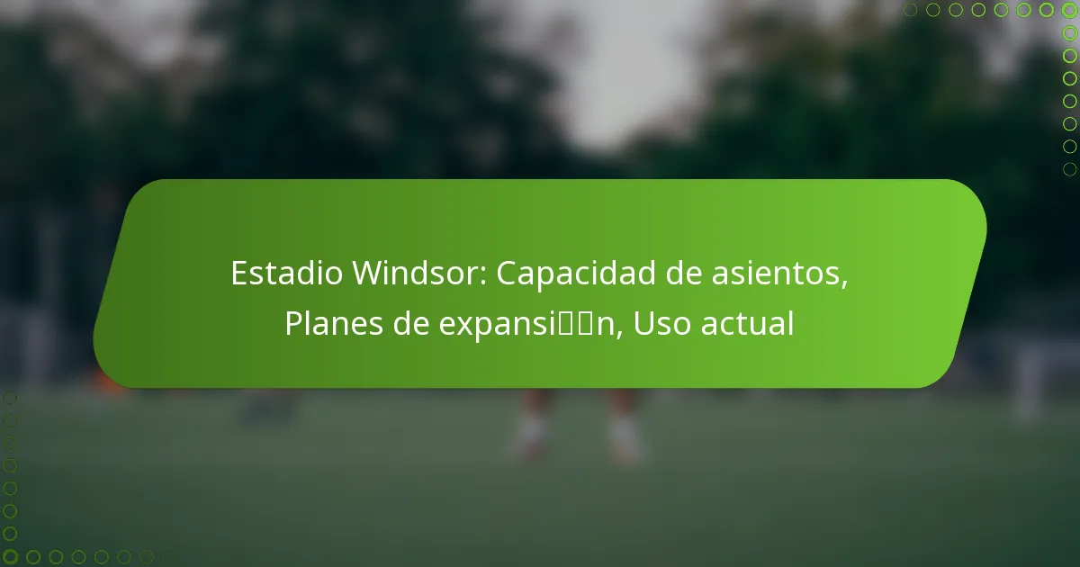Estadio Windsor: Capacidad de asientos, Planes de expansión, Uso actual