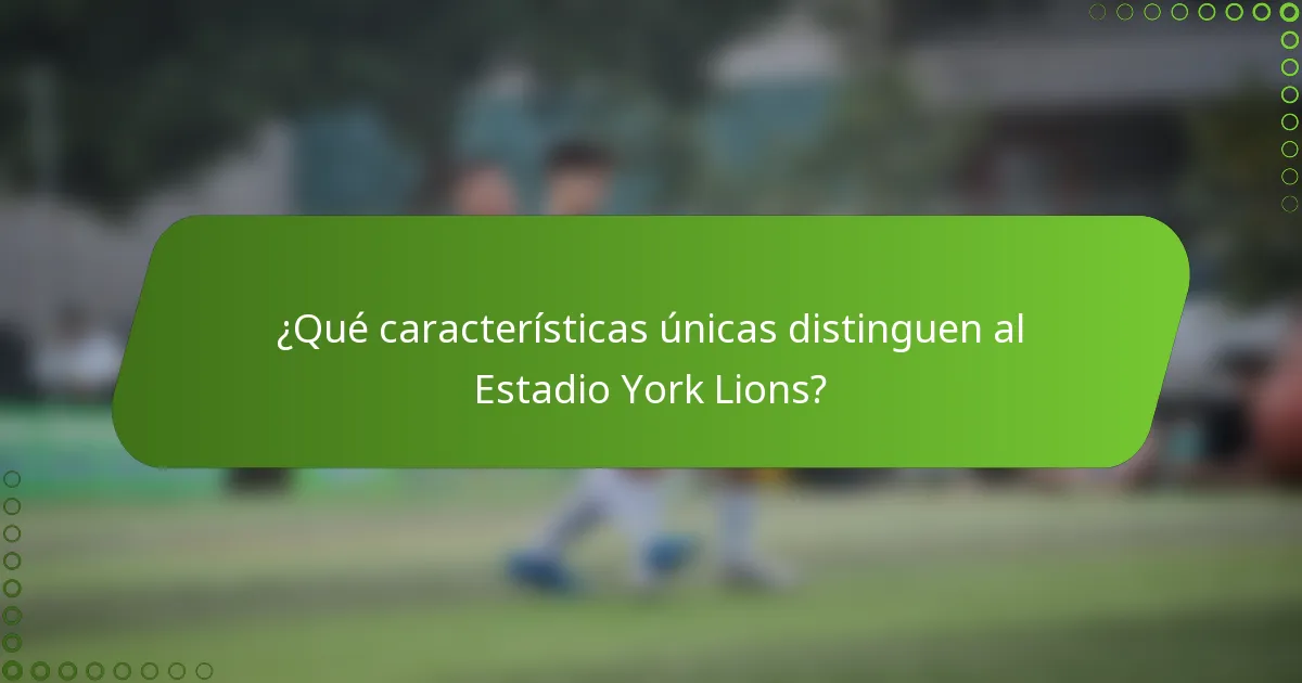 ¿Qué características únicas distinguen al Estadio York Lions?