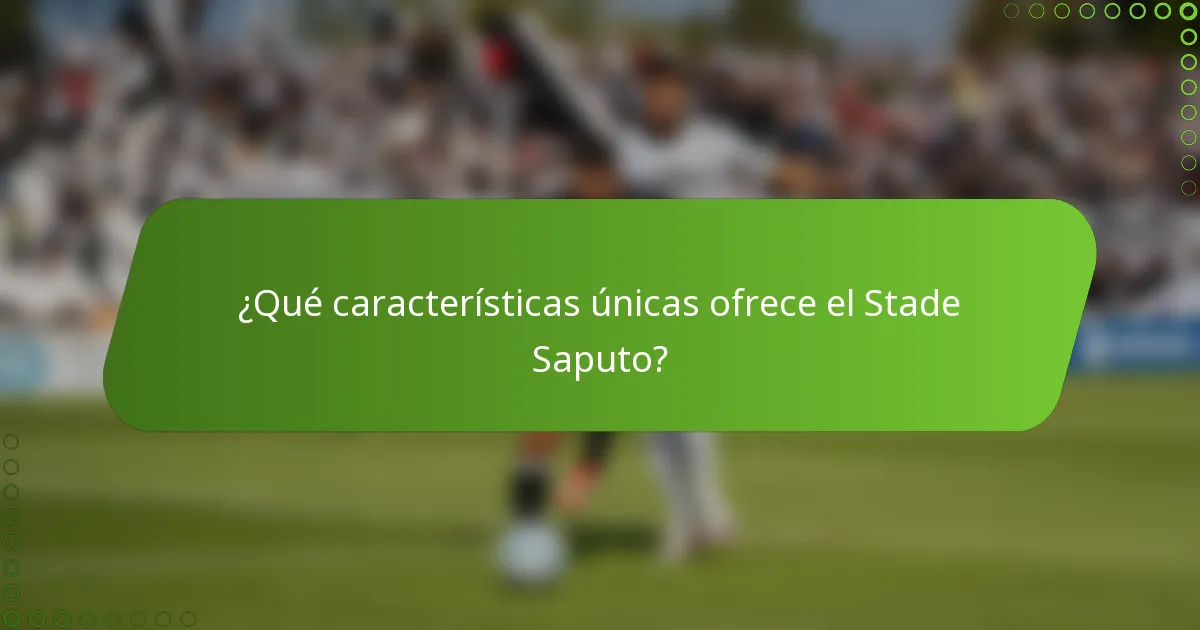¿Qué características únicas ofrece el Stade Saputo?